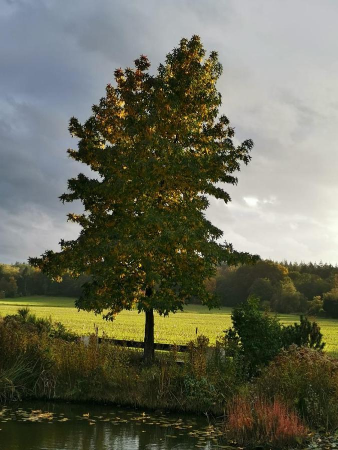 B&B Bovenweg Rhenen Esterno foto